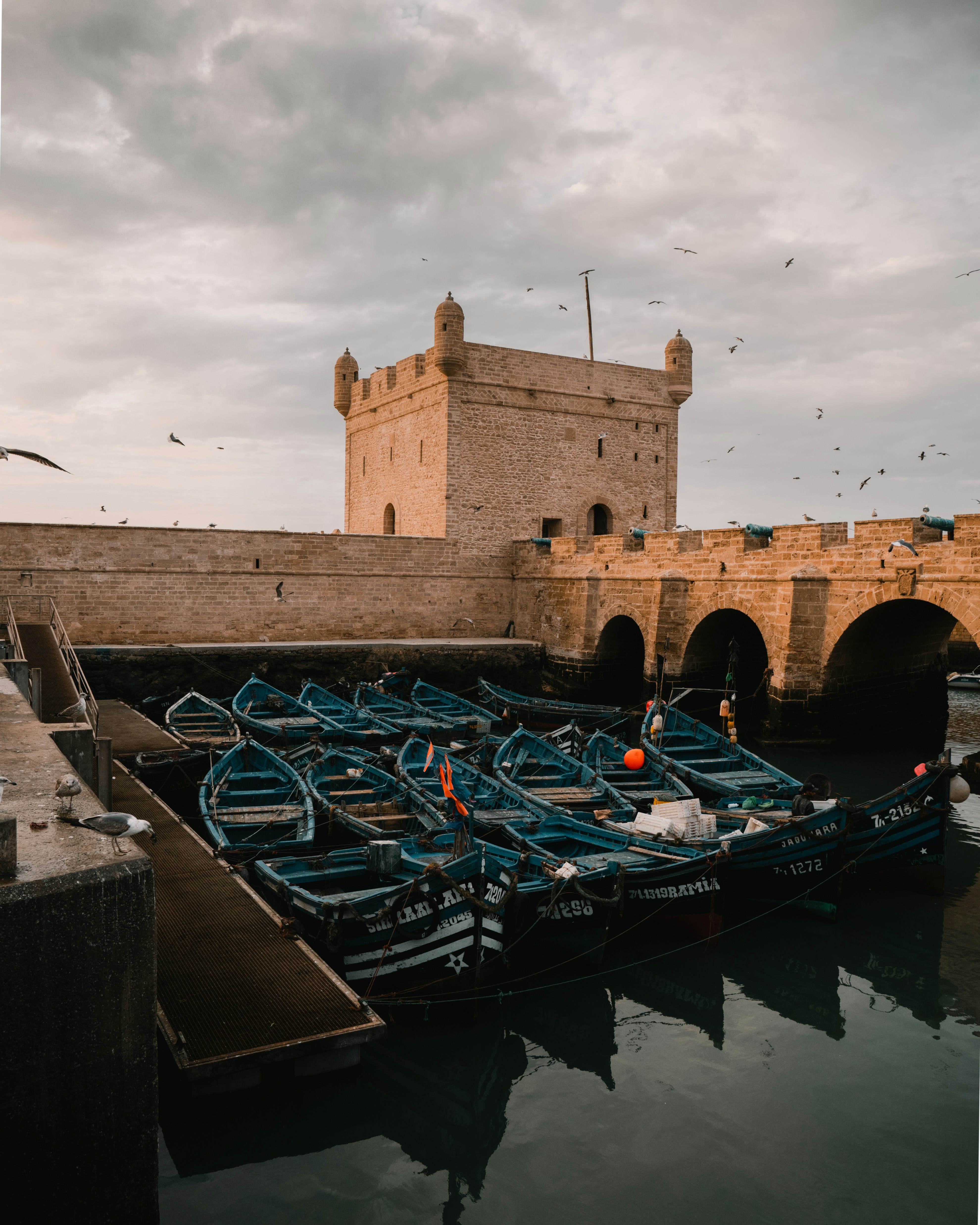 essaouira photo