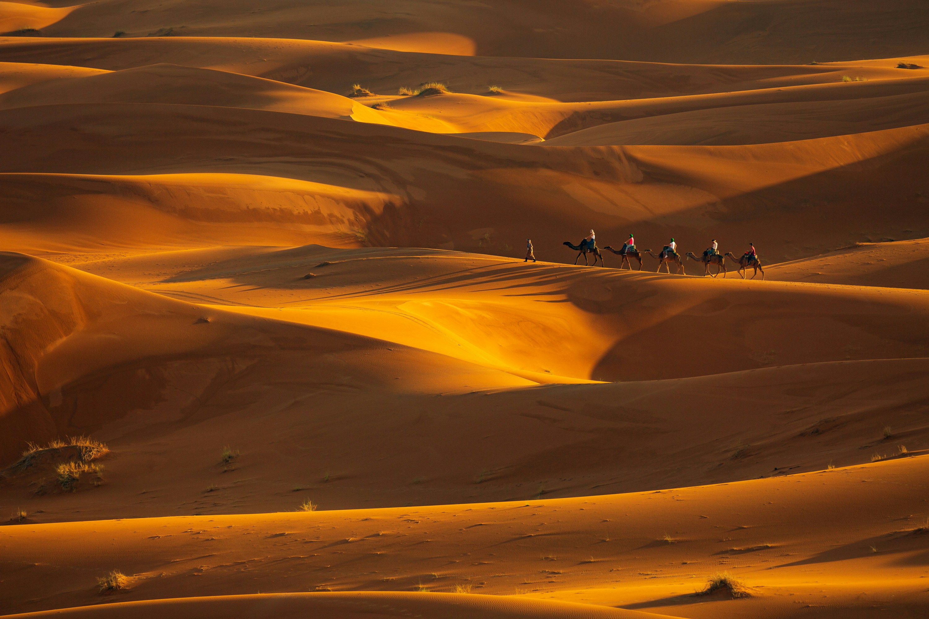 Morocco Desert and Atlas Adventure