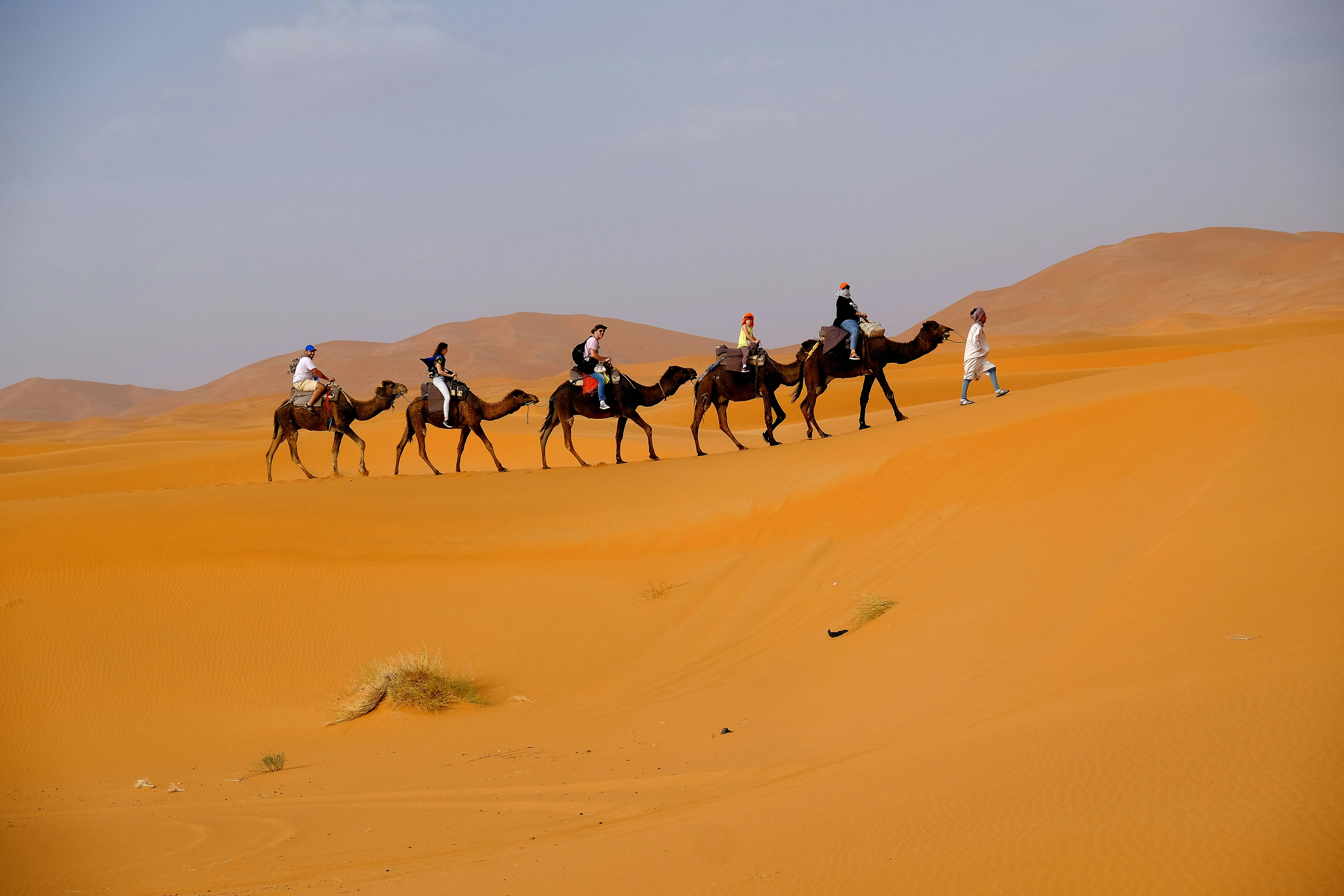 Desert Camp