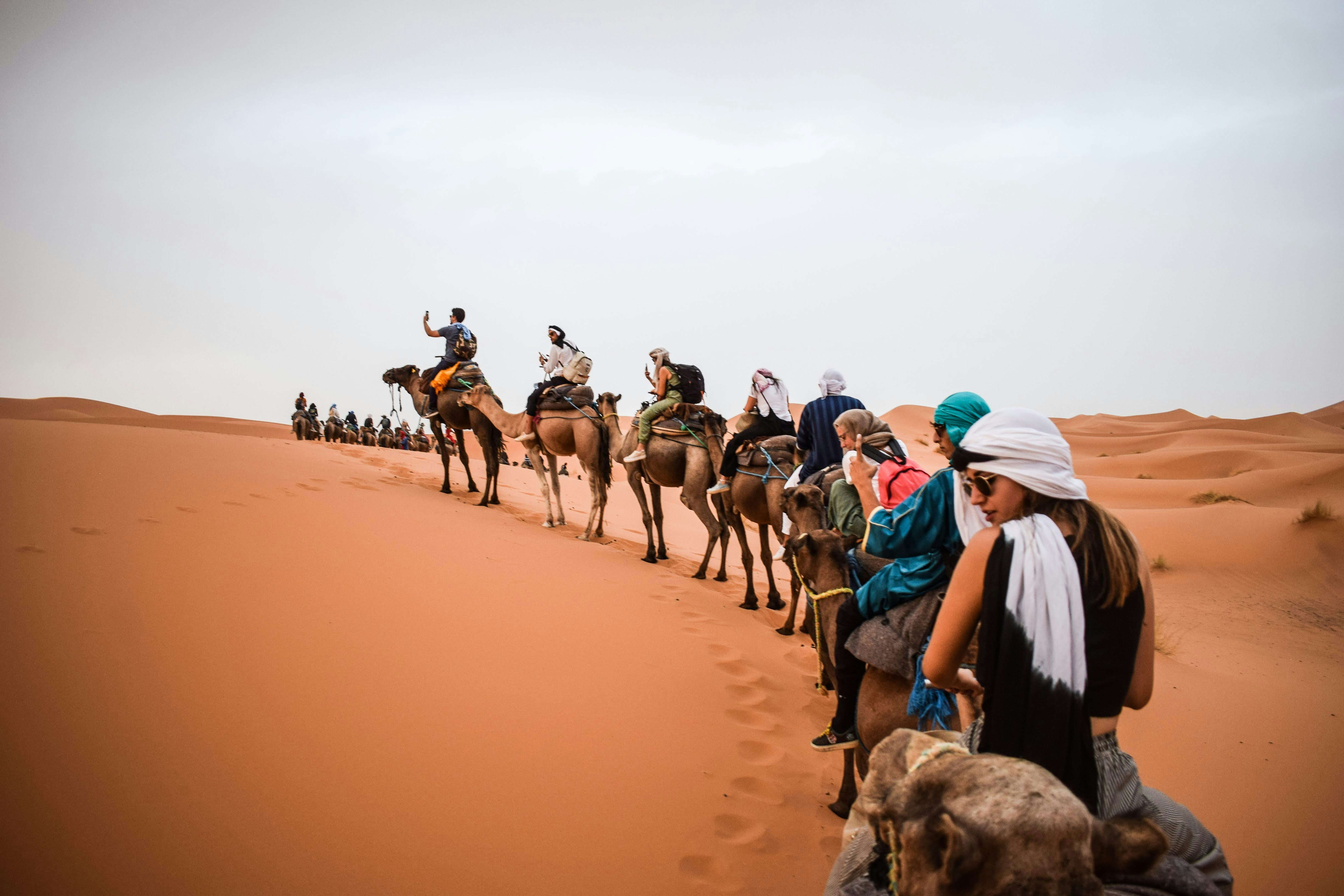 Camel Trekking