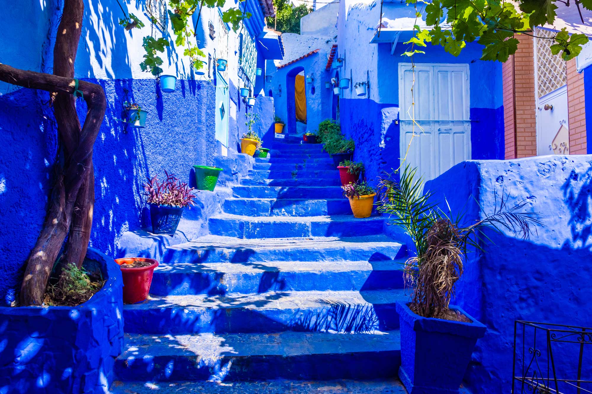 Photography Tours